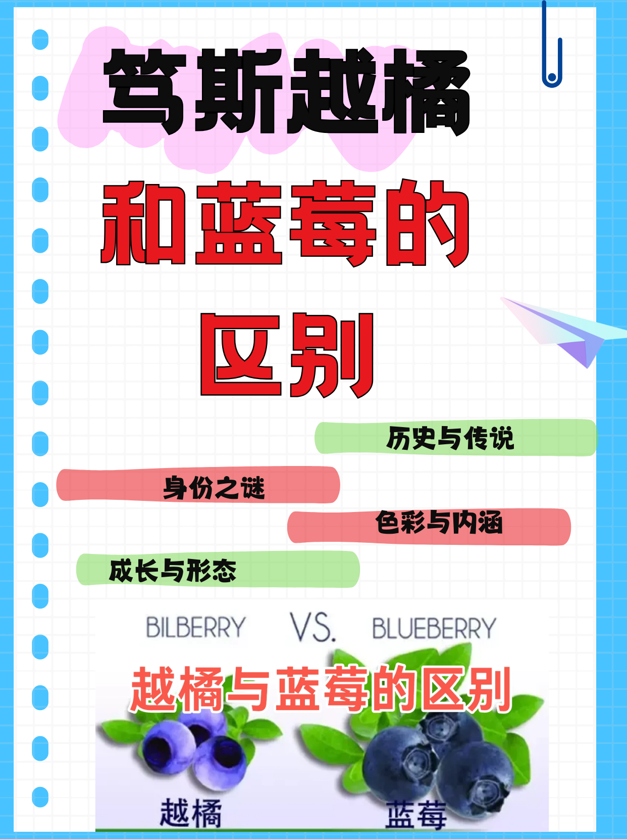 蓝苹果和蓝精灵区别 蓝苹果蓝精灵多肉怎么养 