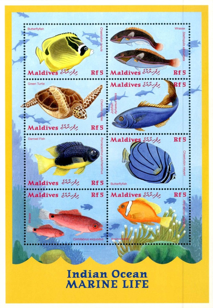 marine和ocean的区别 oceangoing和oceanic的区别 